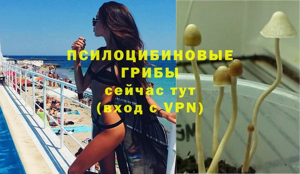 стафф Белоозёрский